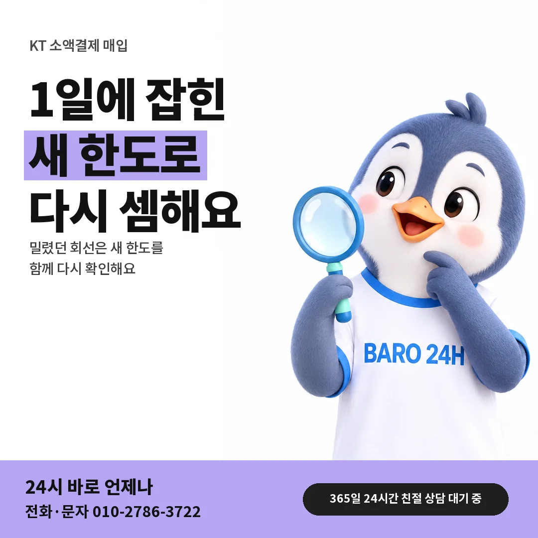 BARO 24H 티셔츠를 입은 3D 동물 캐릭터 옆에 「KT 매달 1일 새 한도」 제목을 얹은 안내 카드